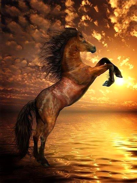 Wow! Such a beautiful painting 💞

"Freedom - Rearing Horse Artwork' by Shanina Conway.