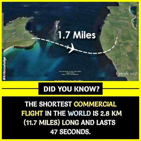 Did you Know