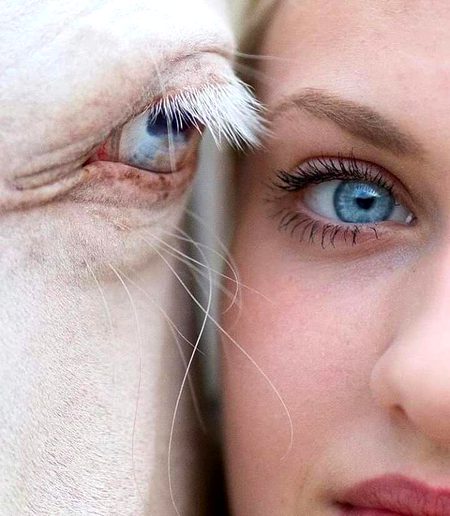 cute eyes .Allah is the best creator ❤❣