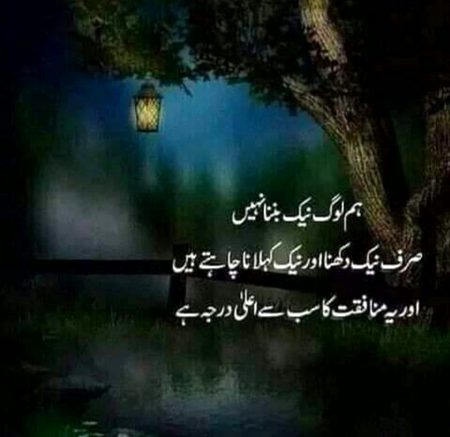 💕💕💕💖💖💕💕💕