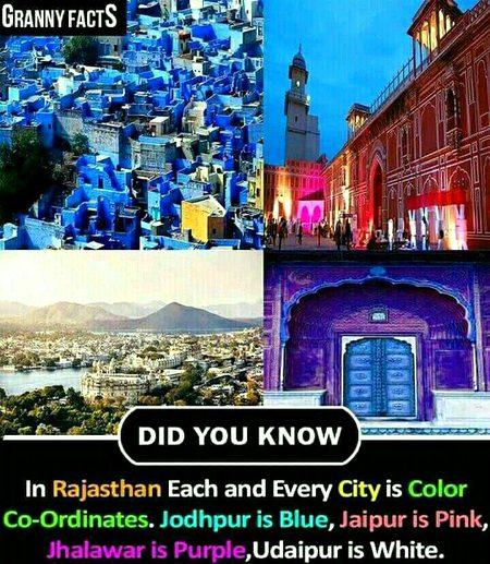 Did you Know