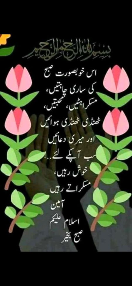 😇💕😊😘🤗👍🤲🤲🤲😍kese hen ap sub log mere piyare dosto