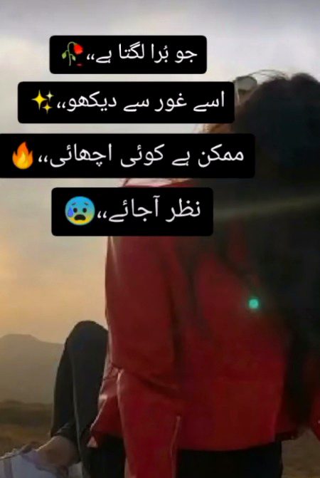 ....⁦✌🏻⁩⁦✌🏻⁩⁦✌🏻⁩....