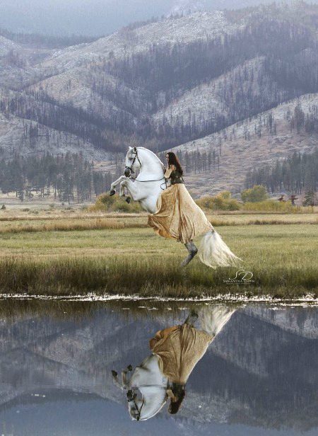 Amazing photography..