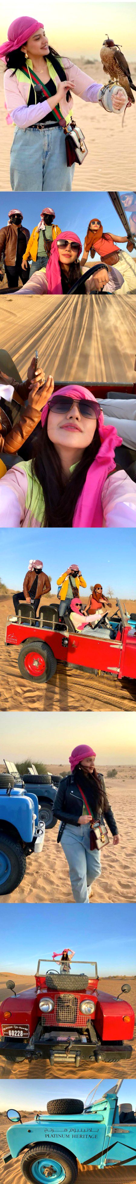 Pakistani Celebs image