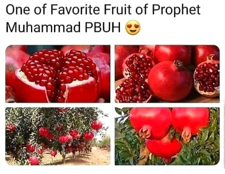 MashaAllah❤❤❤
