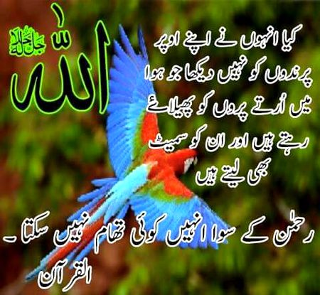 💕💕💕💖💖💖💕💕💕💕