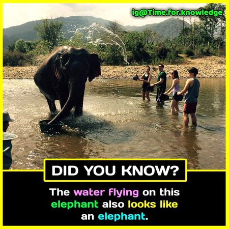 Did you Know