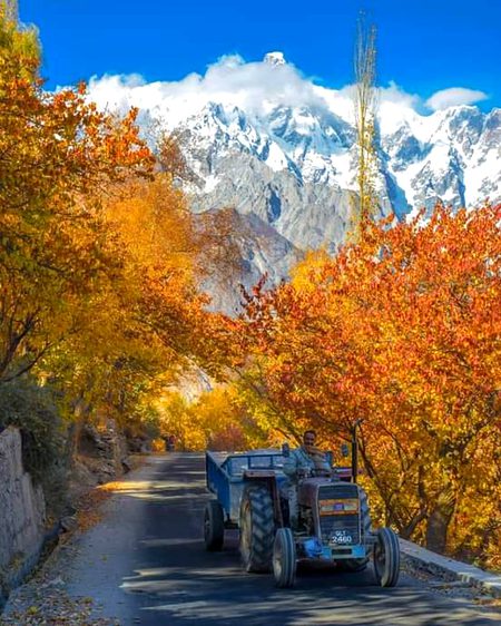 Autuumn hoper nagar😍