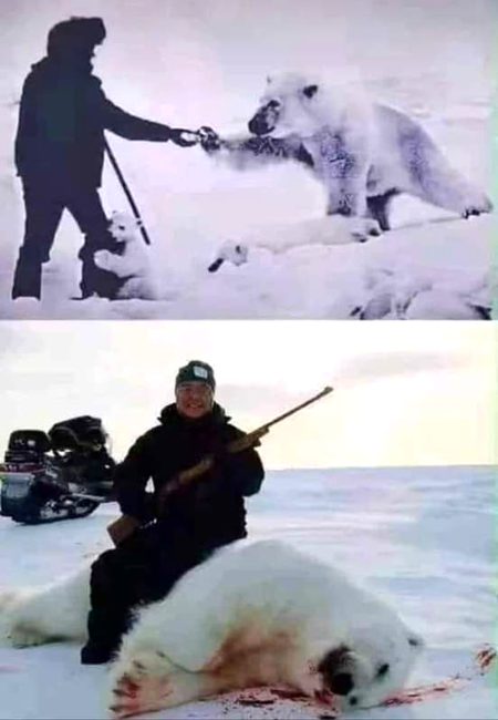 Believe me no one is bigger deciver than a human being😥