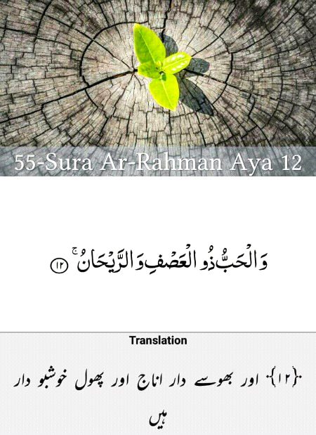 Ayat 12.....😘😍😘😍😘😍😘😍😘😍😘😍😘😍😘😍😘