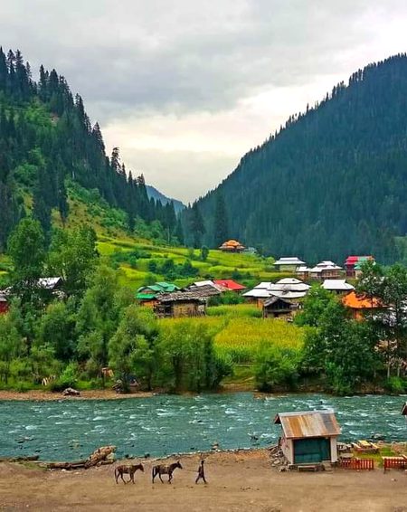 Beautiful Nature image