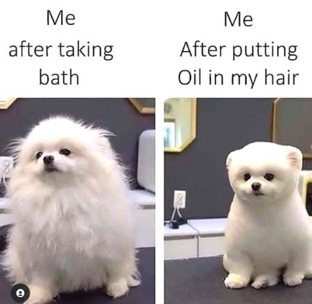 kon kon oil use krty hai mein to nhii lagatii