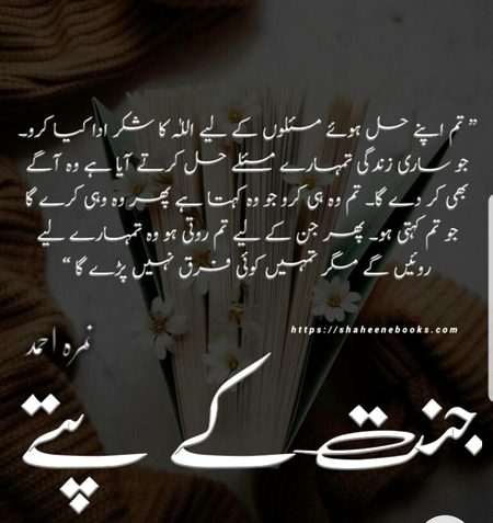 Janat kay Paty