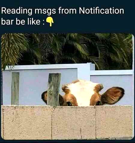 Ops laughed.Relatable literally