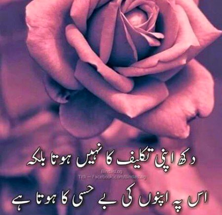 Hony Waly khud hi apny ho jty hn...kisi ko keh kr apna nahi bnaya ja skta