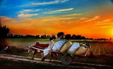 شہروں کی محبت تو ناگن کی طرح ہے🔥💔
میں اگلی محبت کسی گاؤں میں کروں گا💑❤️