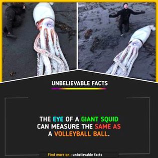 Did You Know