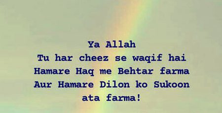 💕💕💕💖💖💕💕💕