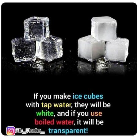 Did you Know