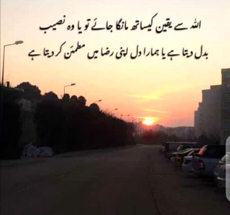 ❤️ ❤️ ❤️ ❤️