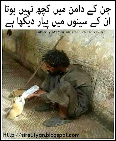 Un k seenon m pyar dekha h💞