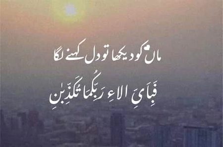 💐💐💐🌷🌷🌷🍀🍀🍀🌹🌹🌹