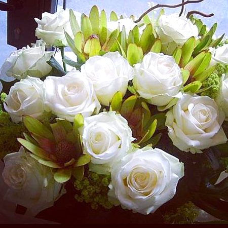 Beautifull filower👌👌💖