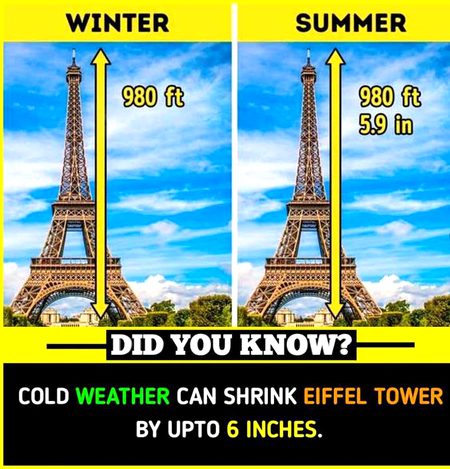 Did you Know