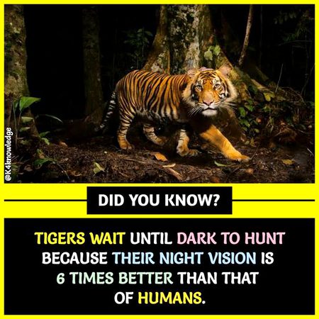 Did You Know