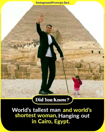 Did you Know