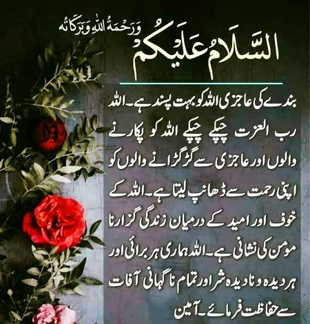 AnaS SinDhi