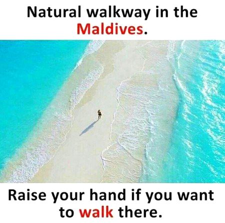 Raise ur hand if u walk here😍?