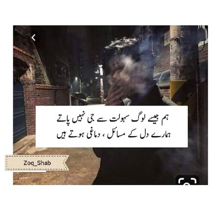 🍁Zoq_Shab🍁