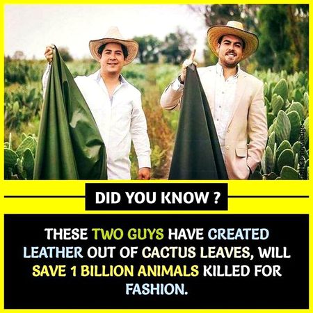 Did you Know