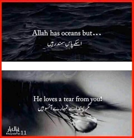 Yeah Koi Nhi Janta... 
(plz Follow me)