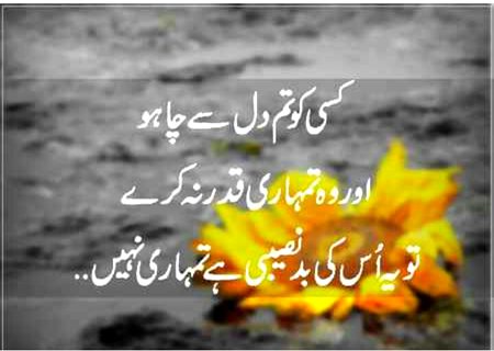 Mehar zada