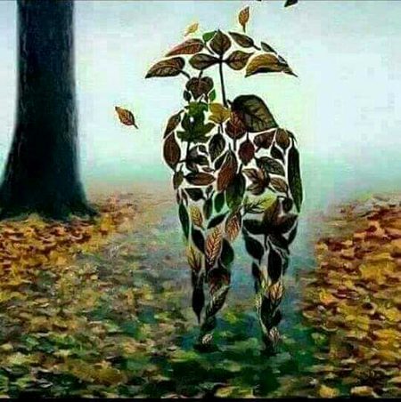 محبت میں صرف ایک کو ھی چنتے ھیں
باقی سارا جہاں رہنے دیتے ہیں...!!❤️