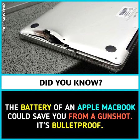 Did you Know