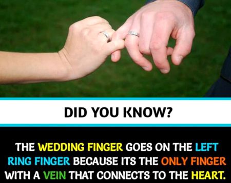 Did u know