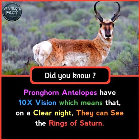 Did you Know