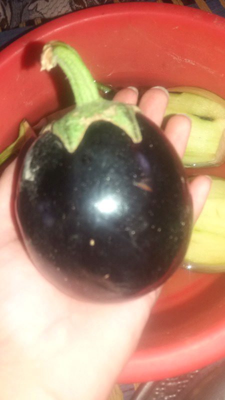 Ayiye bringals khaiye