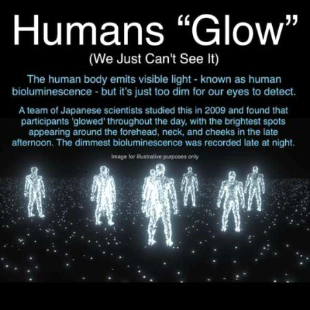 Humans "Glow" 🌝