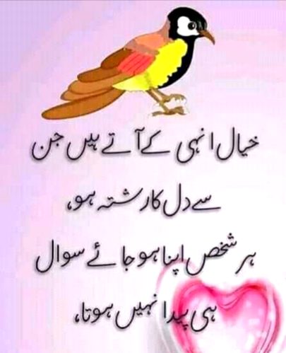 💕💕💕💖💖💕💕💕