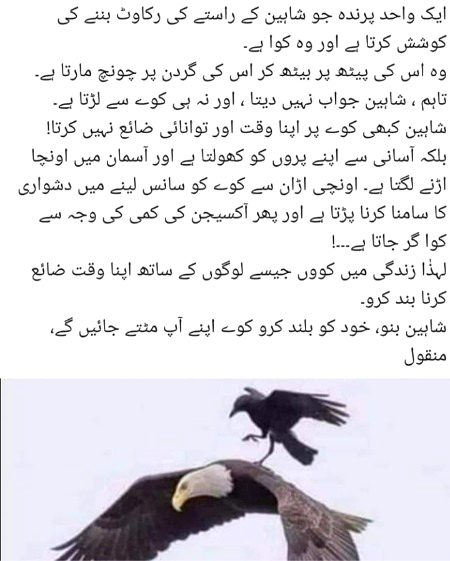 Amazing Story