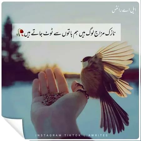 Bilkul bht nazk mezj han hum😔😔😔😔😔😔