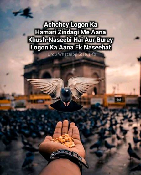 Absolutely right 😍