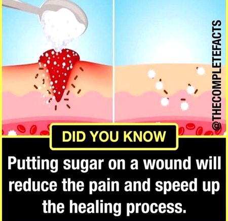 Did you Know