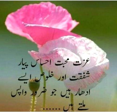 💕💕💕💖💖💕💕💕