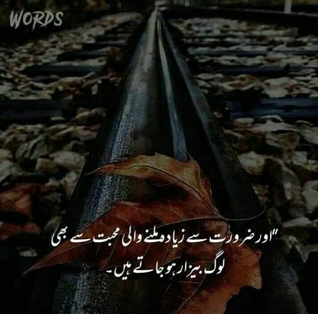 😑😑🥀🥀💔💔💔🍂🍂🍂